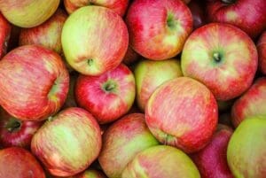 apple honey crisp