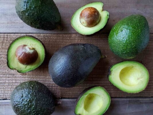 avocado varieties