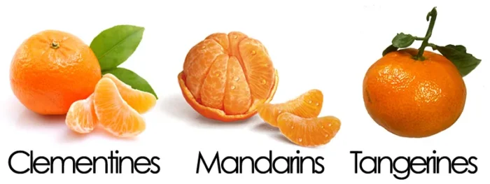 clementine vs mandarin vs tangerine