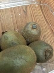 moldy kiwi