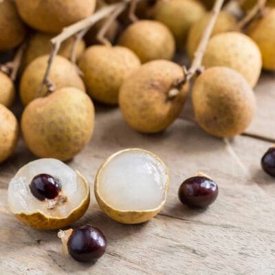 longan structure
