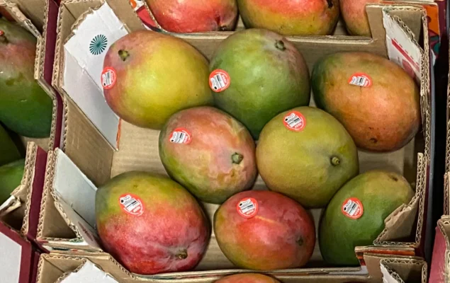 Apple Mango