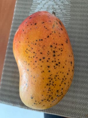 mango small black spots