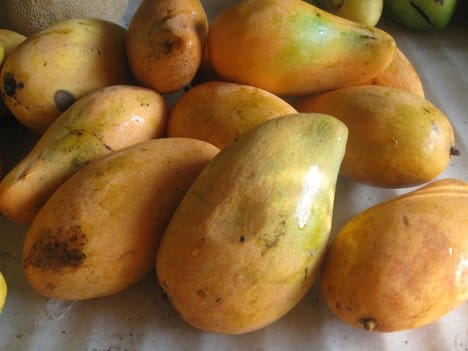 mango bruised