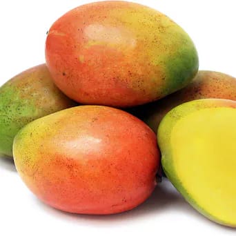 Kent Mango