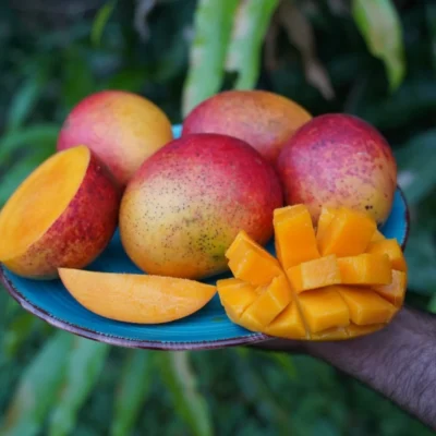 Tommy atkins mango
