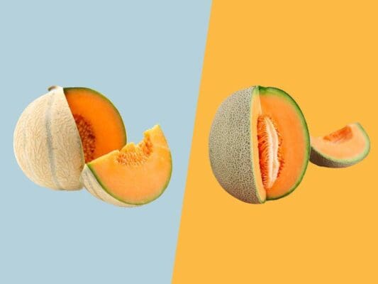 european vs american cantaloupe