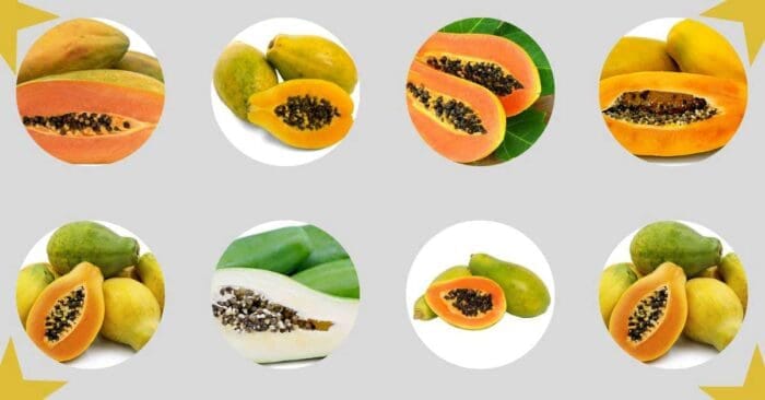 papaya varieties