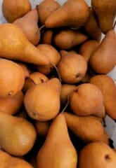 Bosc Pear