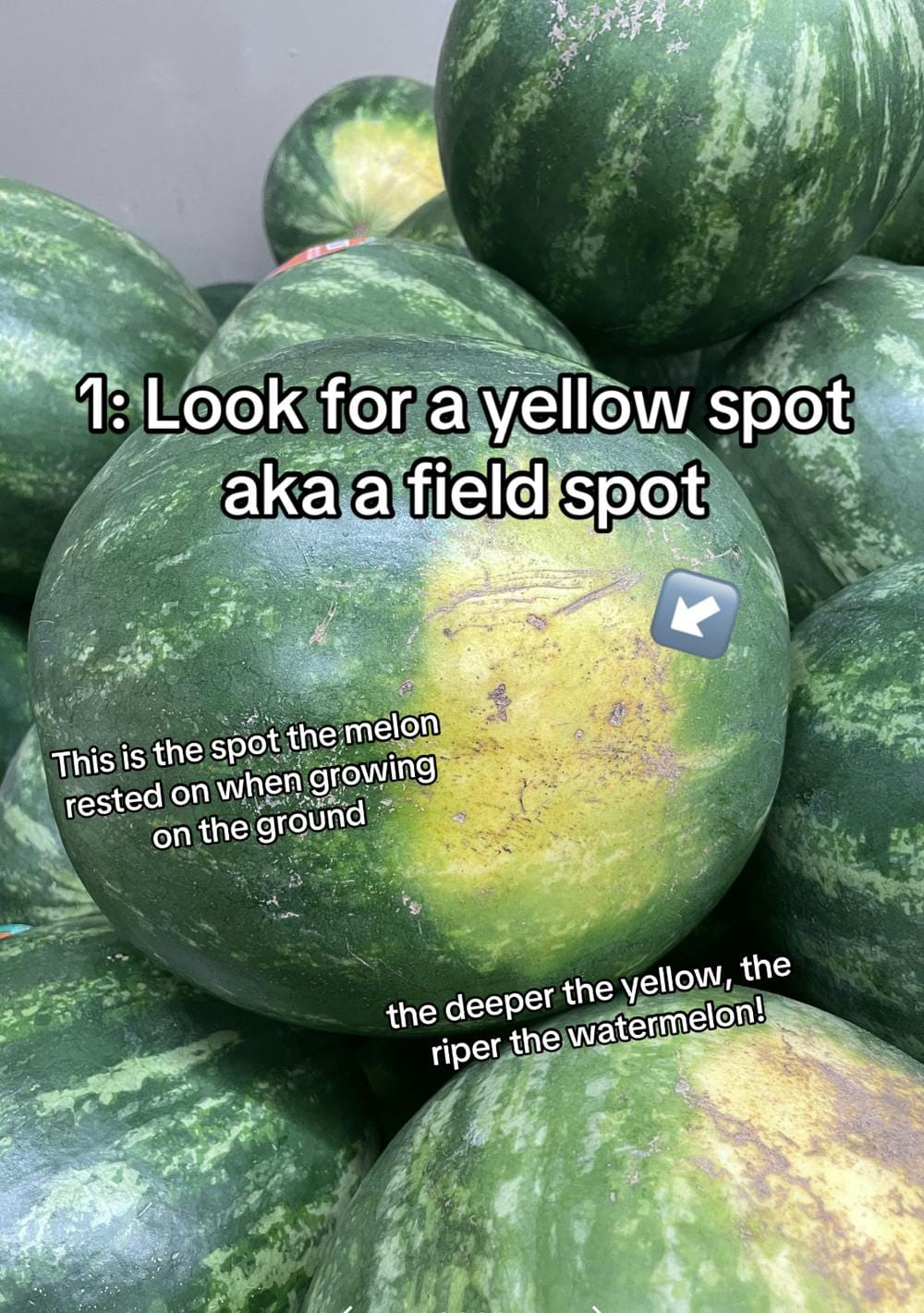 watermelon yellow spot