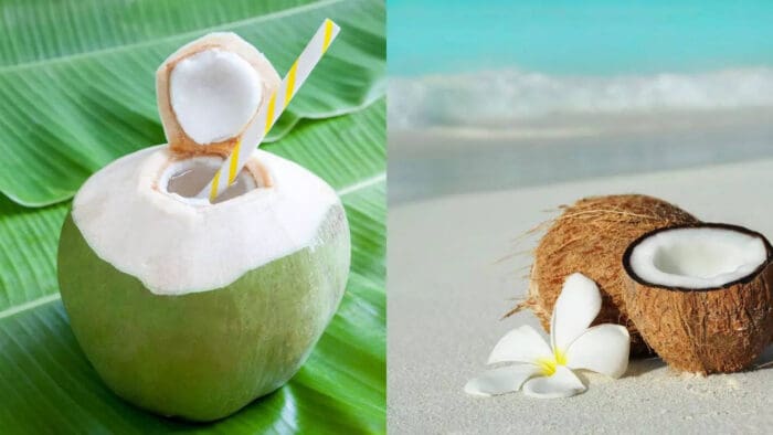 coconut green vs brown
