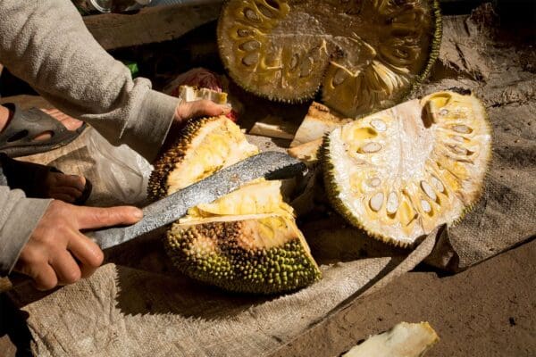 jackfruit cutting