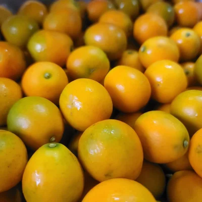 kumquat closeup