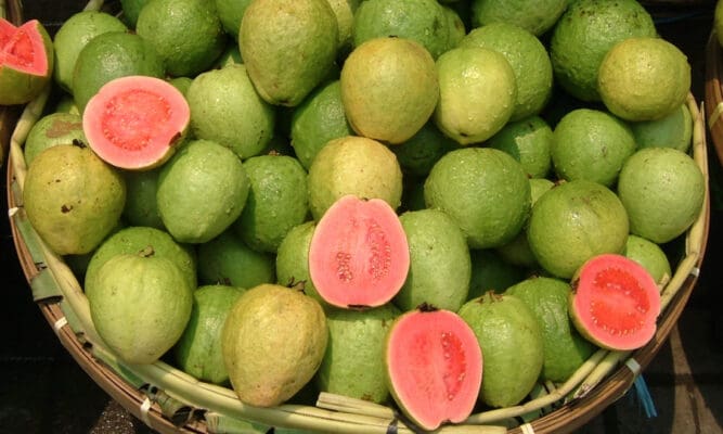 pink guava