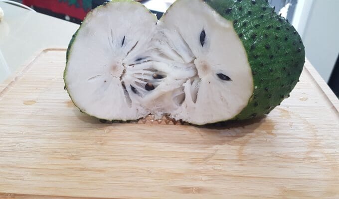 sour sop anatomy