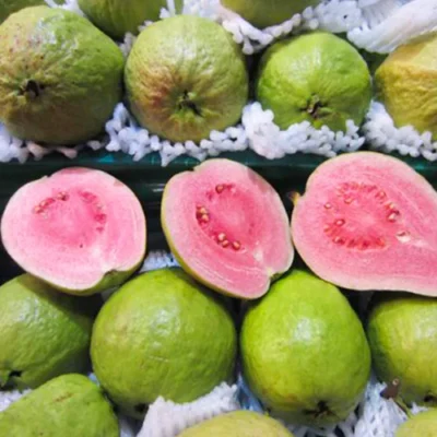 thai pink guava