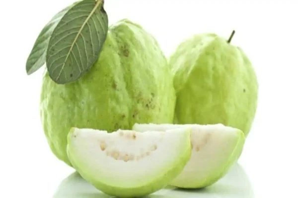 white guava green skin